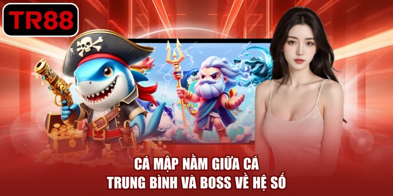 Cá mập nằm giữa cá trung bình và boss về hệ số