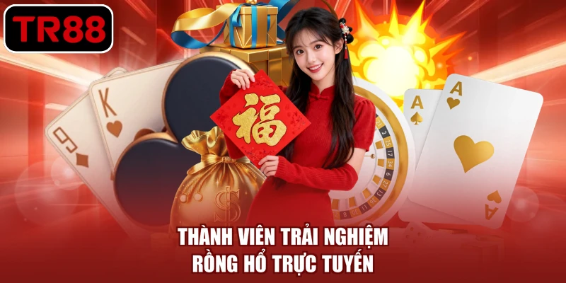 Thành viên trải nghiệm Rồng Hổ trực tuyến